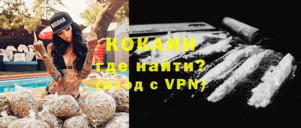 кокс Алексин