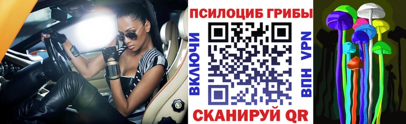 Псилоцибиновые грибы мицелий  кракен маркетплейс  Жиздра 